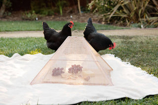 Collapsible Woven Food Tent Cover: Cream